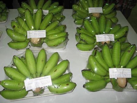 Chuối cau - Công Ty TNHH Fresh Banana